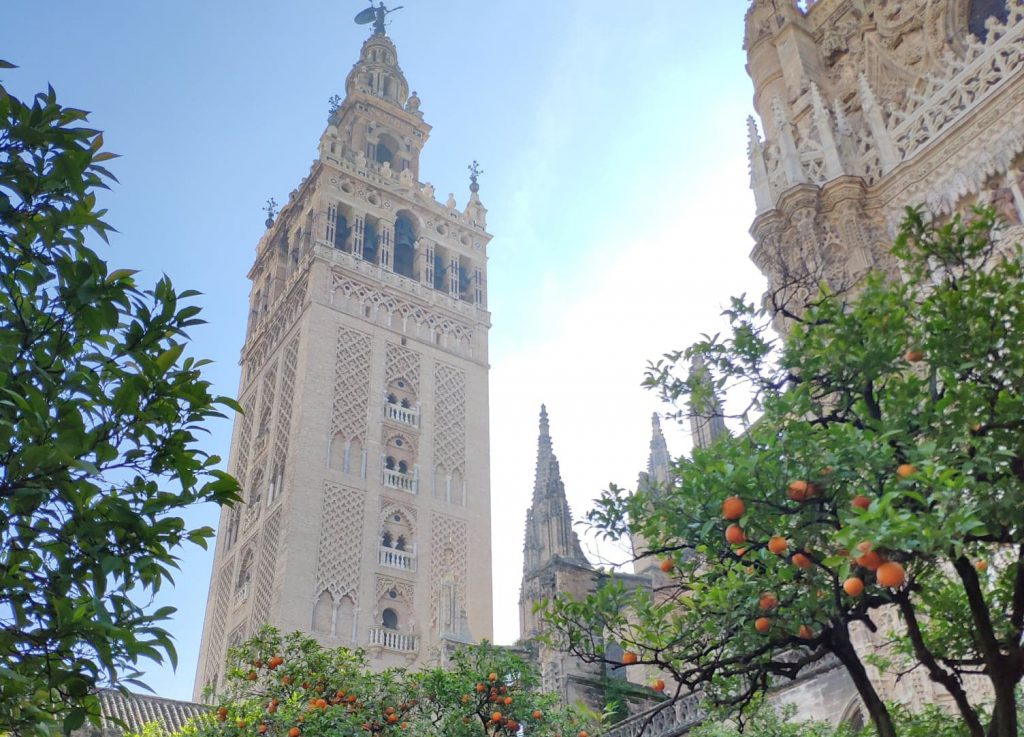 Andalusiës_3